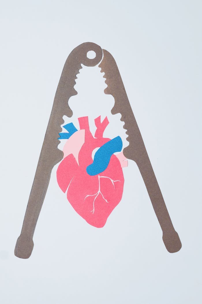 Artistic representation of a human heart in a nutcracker made from paper cutouts on white background.